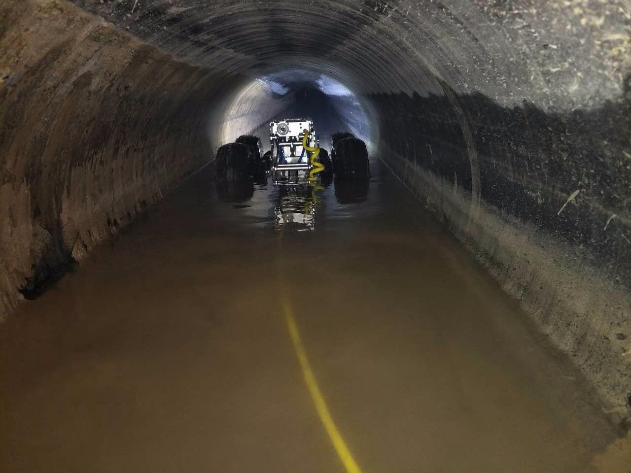 沙湖原种场管道CCTV检测