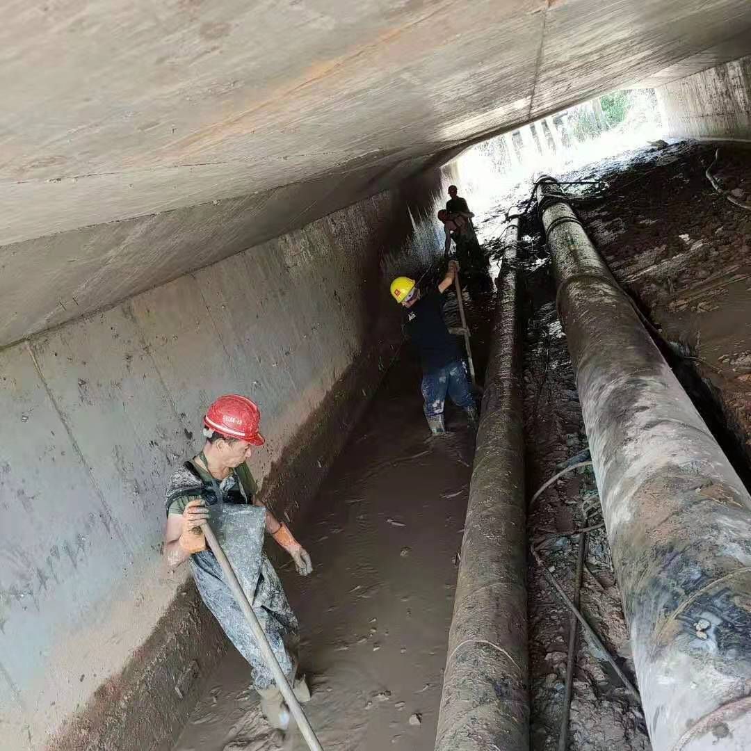 沙湖原种场工业管道清淤